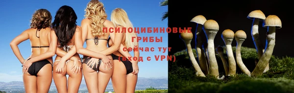 не бодяженный Няндома